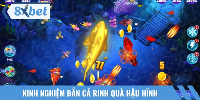 Chia sẻ loạt tip hay đến từ vị trí cao thủ đi trước