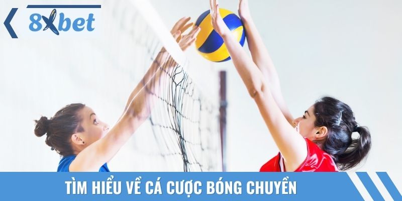 Các thông tin cần biết về bộ môn thể thao hấp dẫn người tham gia