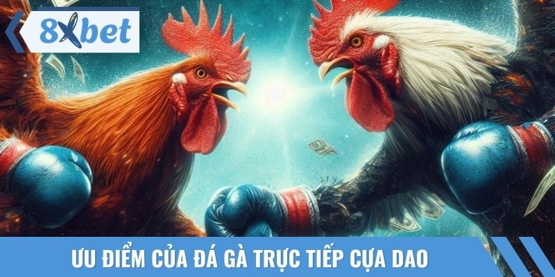 Có thể theo dõi đá gà trực tiếp cựa dao trên điện thoại mọi lúc mọi nơi