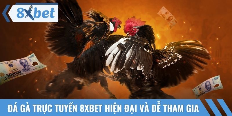 Đá gà trực tuyến 8xbet hiện đại và dễ tham gia