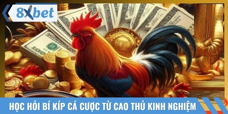 Học hỏi nhiều bí kíp cá cược từ các cao thủ kinh nghiệm
