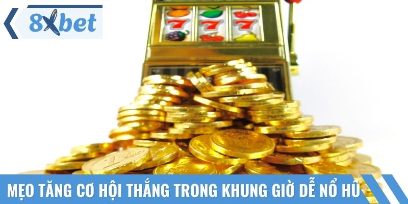 Lịch sử các ván cược cần phải xem xét và thống kê cẩn trọng