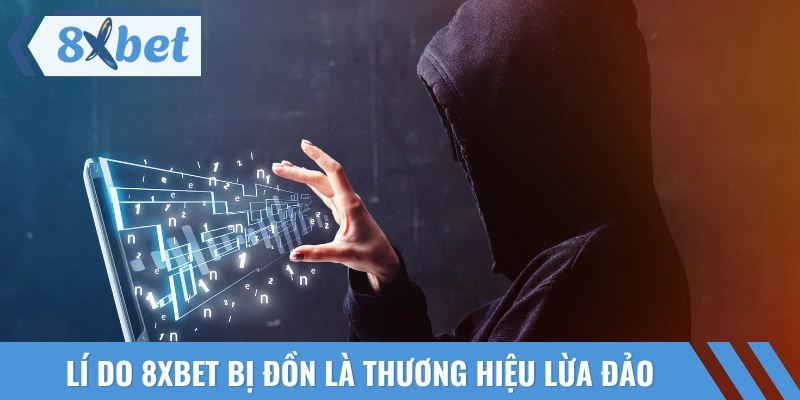 Tại sao nền tảng lại bị đồn là lừa đảo