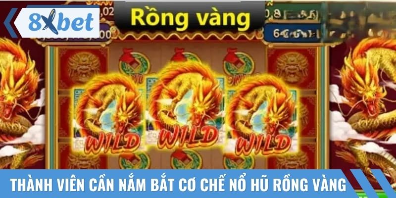 Thành viên cần nắm bắt cơ chế của nổ hũ Rồng Vàng