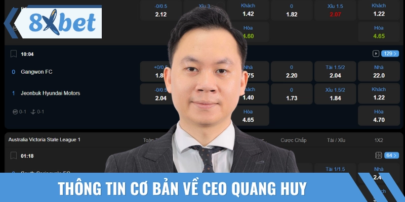 Thông tin cơ bản về tác giả Quang Huy