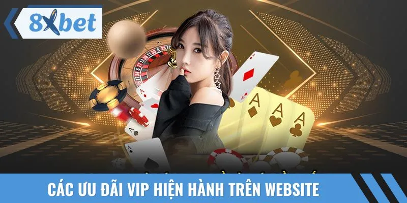 Các ưu đãi VIP hiện hành trên website